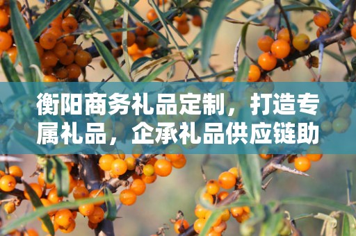 衡阳商务礼品定制，打造专属礼品，企承礼品供应链助力商务往来