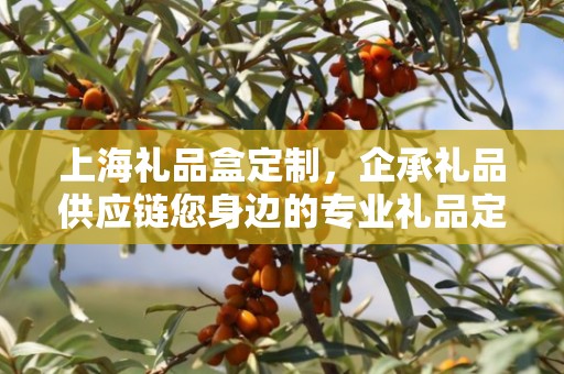 上海礼品盒定制，企承礼品供应链您身边的专业礼品定制公司